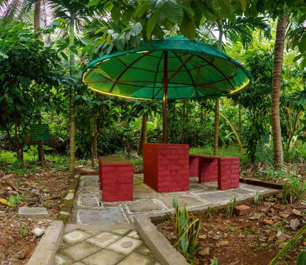 Jasmine Land Homestay أودوبي المظهر الخارجي الصورة