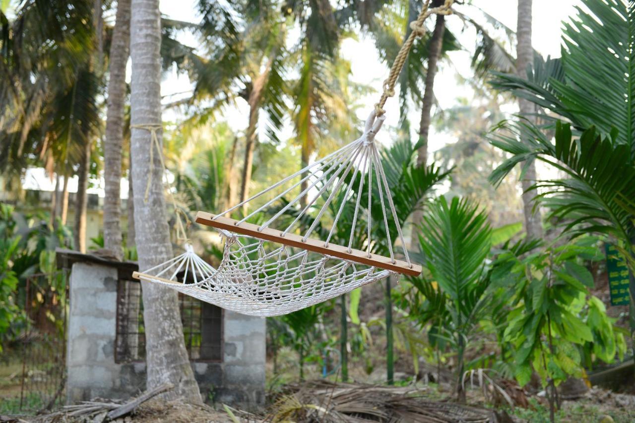 Jasmine Land Homestay أودوبي المظهر الخارجي الصورة